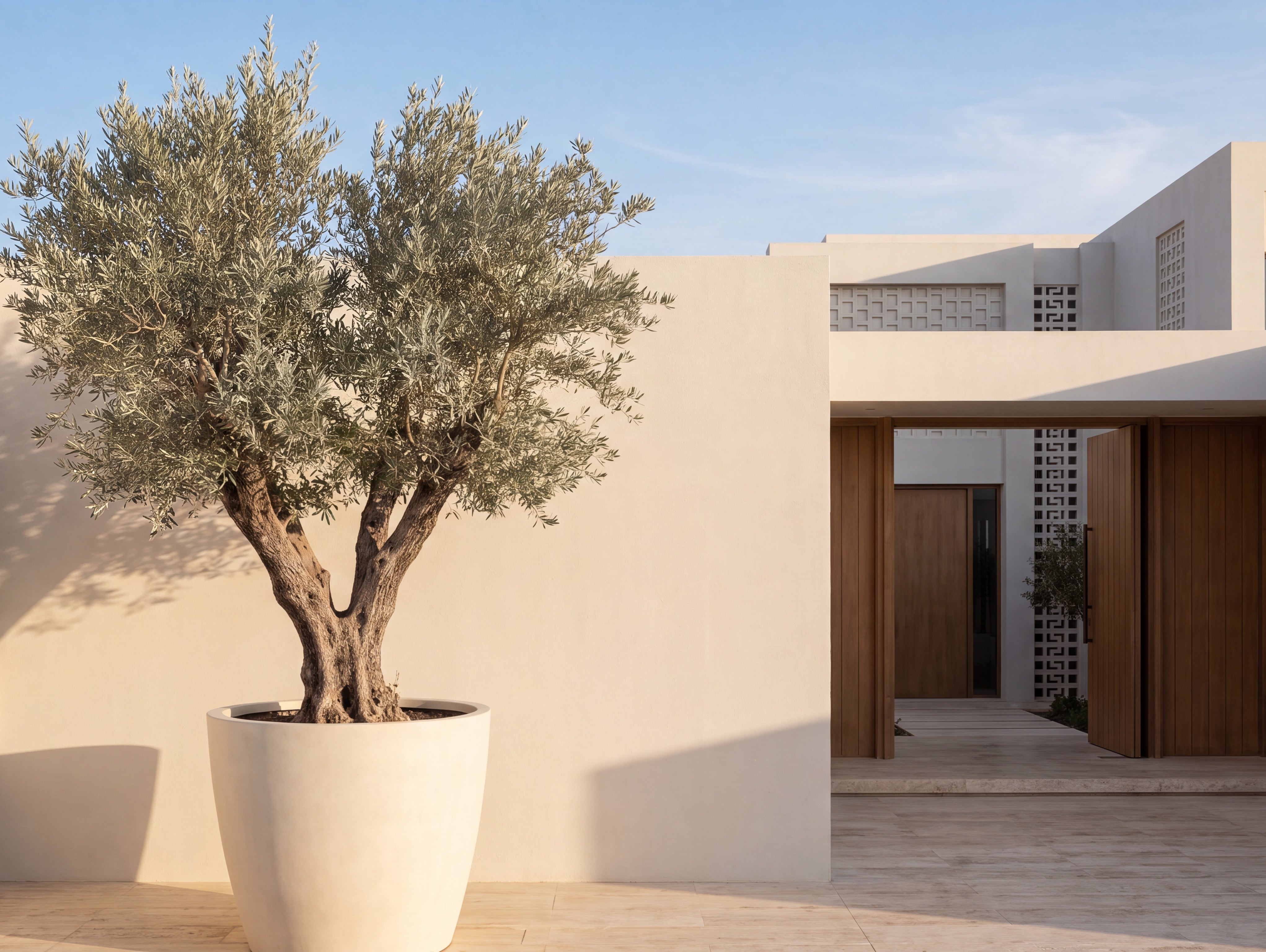 Olive Tree Care in Dubai: Watering, Pruning & Keeping a Specimen Alive