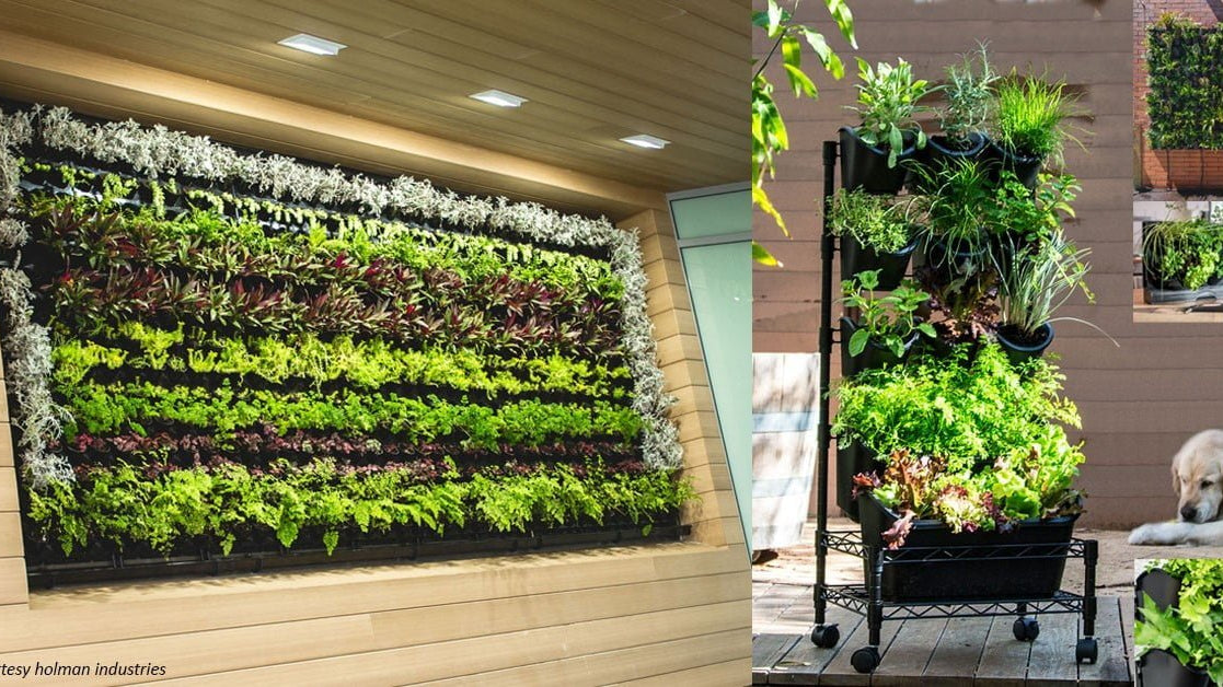 DIY VERTICAL HERB WALLS - Acacia Garden Center