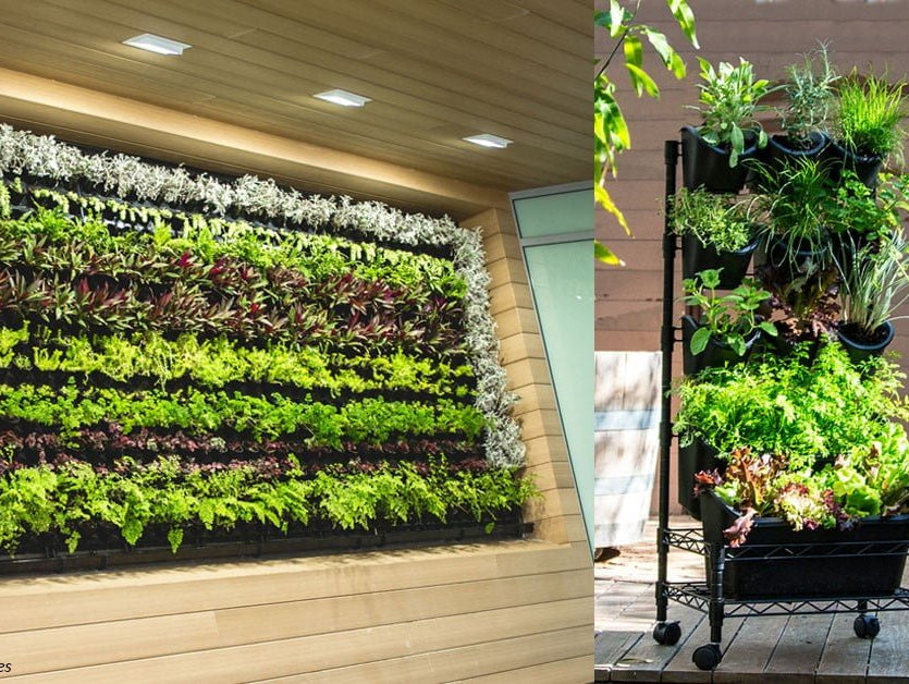 DIY VERTICAL HERB WALLS - Acacia Garden Center