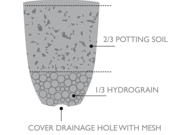 Filling tip - Capi Europe Planters - Acacia Garden Center