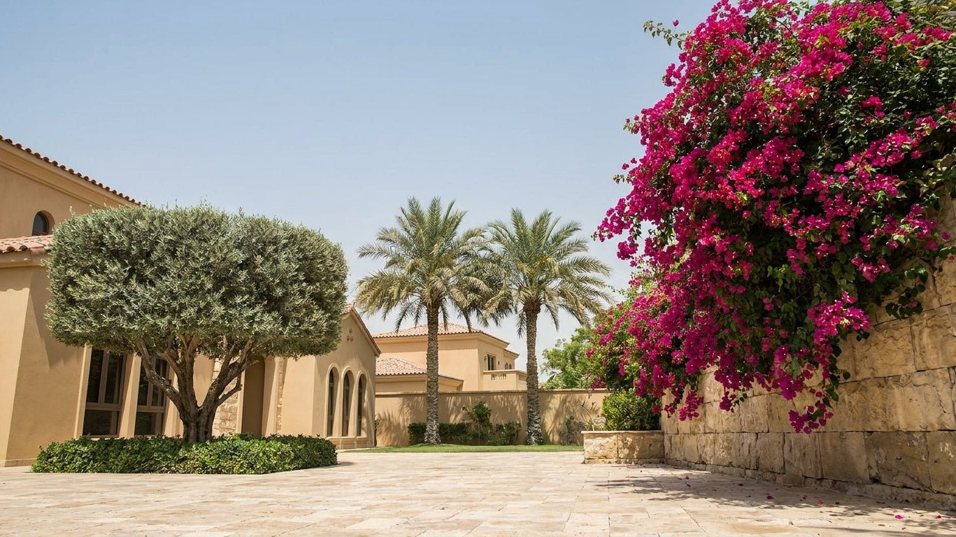 The Best Heat-Tolerant Outdoor Plants for Dubai Villa Gardens - Acacia Garden Center