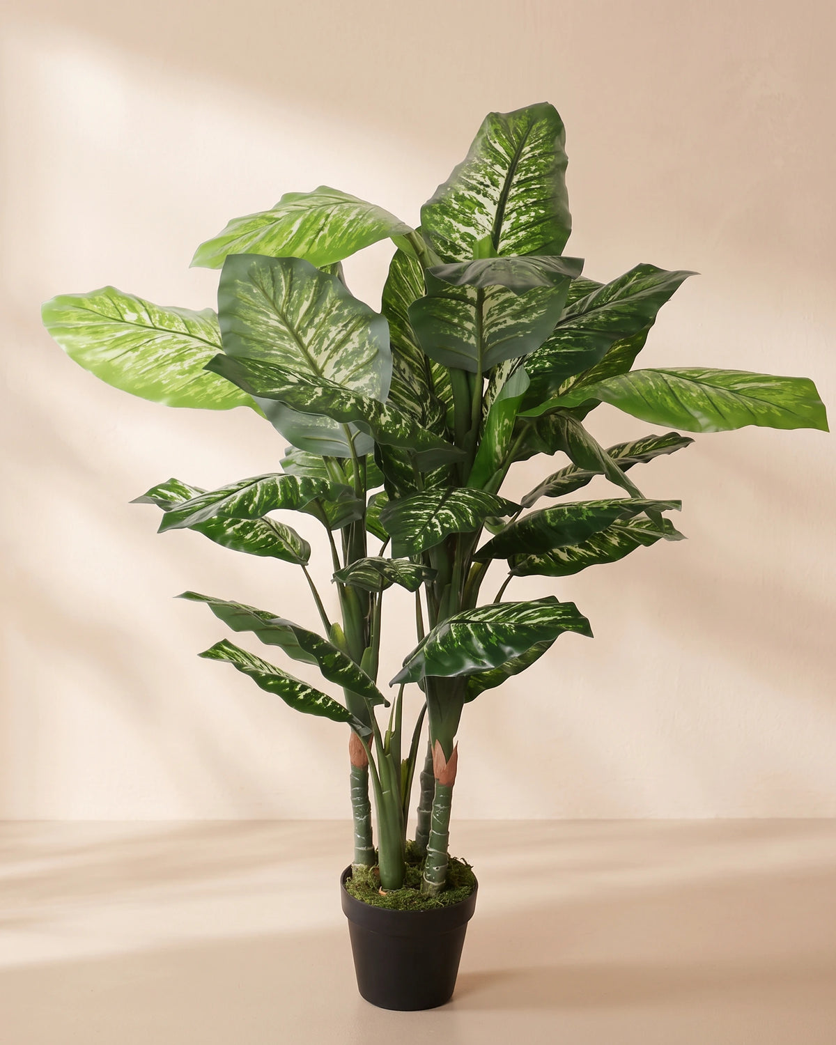 Artificial Dieffenbachia in Pot - Default Title