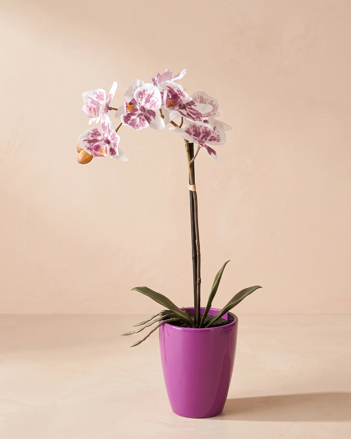 Artificial Phalaenopsis Orchid in Pot - Purple