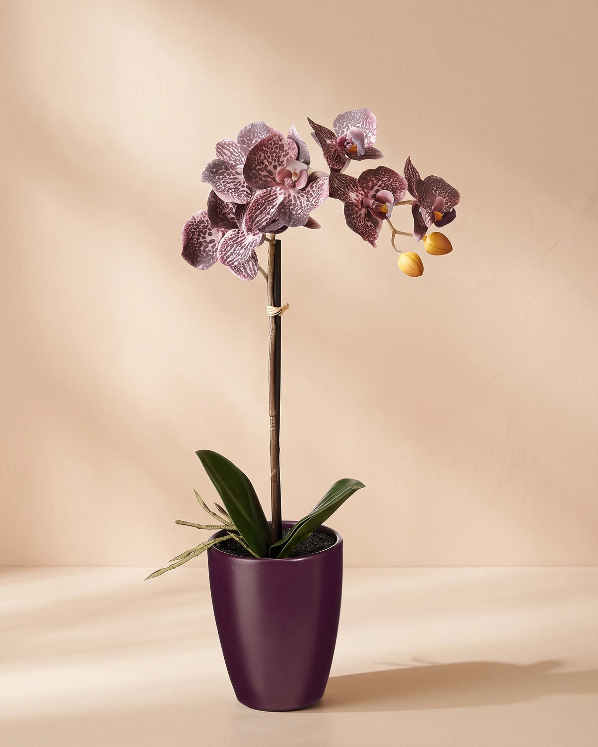 Artificial Phalaenopsis Orchid in Pot - Mauve
