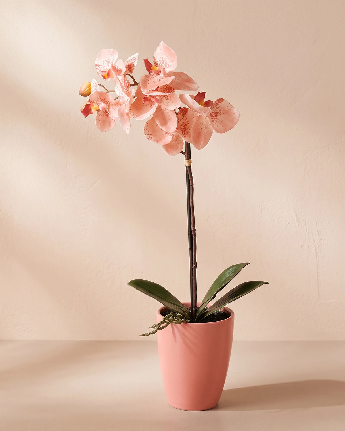 Artificial Phalaenopsis Orchid in Pot - Peach