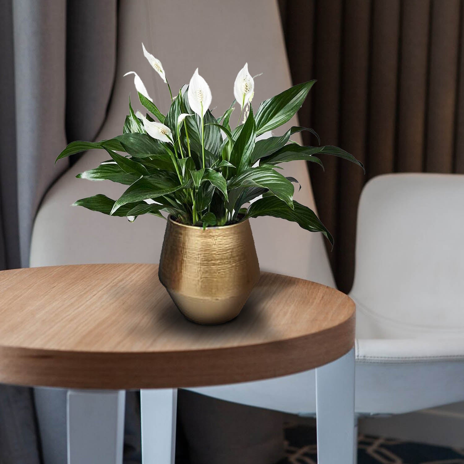 Peace Lily In Brass Metal Pot