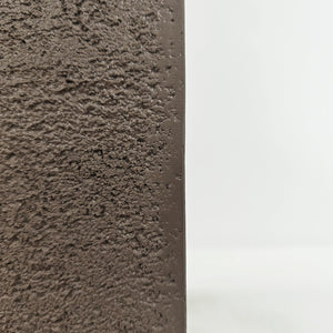 Areca Palm (Chrysalidocarpus/Dypsis lutescens) | 90 - 100 cm - Acacia Garden Center