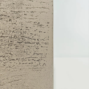 Areca Palm (Chrysalidocarpus/Dypsis lutescens) | 90 - 100 cm - Acacia Garden Center