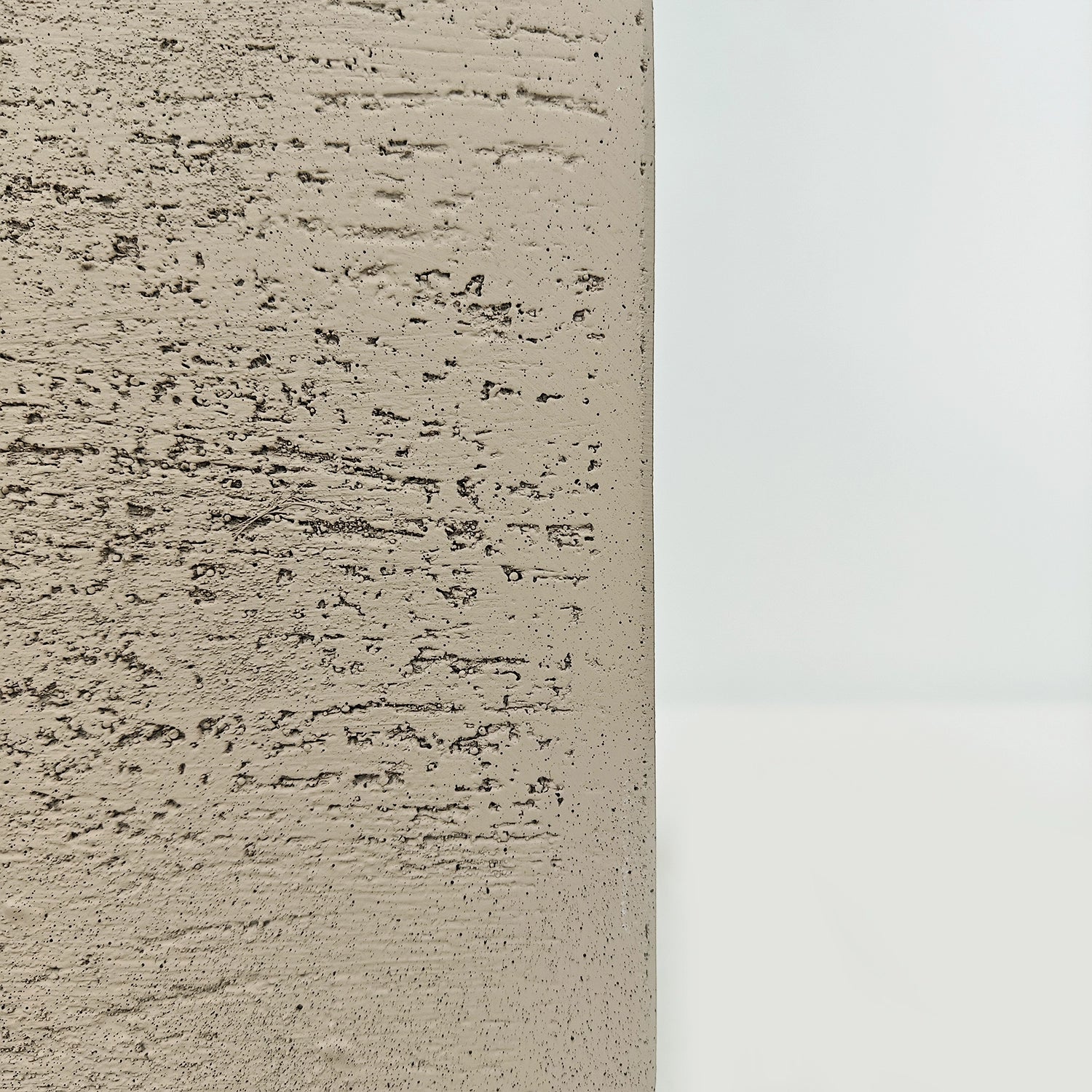 Areca Palm (Chrysalidocarpus/Dypsis lutescens) | 90 - 100 cm - Acacia Garden Center