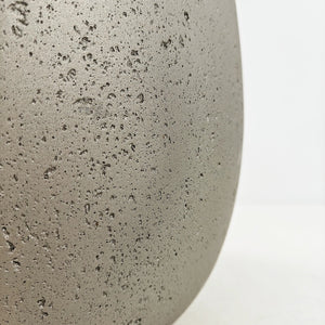 Areca Palm (Chrysalidocarpus/Dypsis lutescens) | 90 - 100 cm - Acacia Garden Center