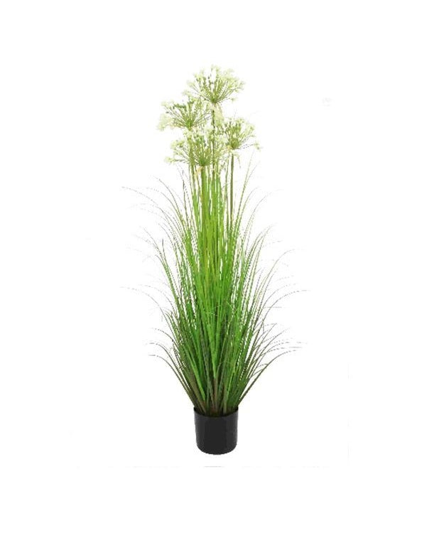 Artificial 55"H Leek Flower Grass with Plastic Pot, 1.37M - (6255) - Acacia Garden Center