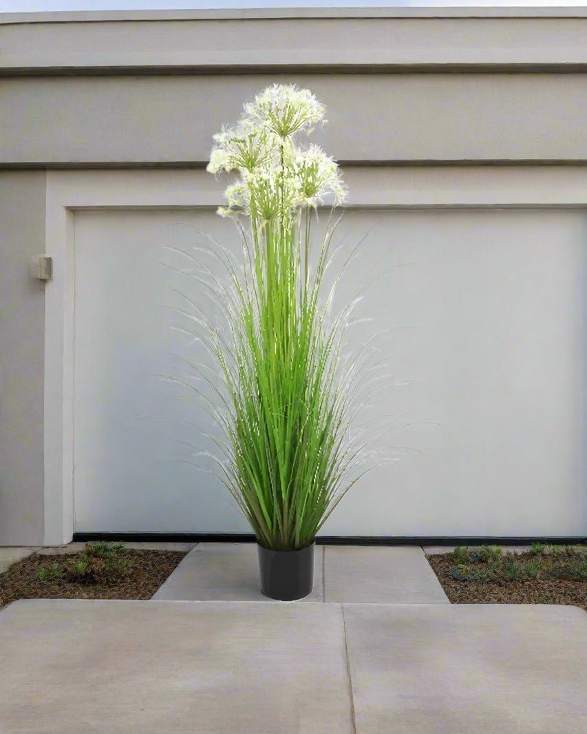 Artificial 55"H Leek Flower Grass with Plastic Pot, 1.37M - (6255) - Acacia Garden Center