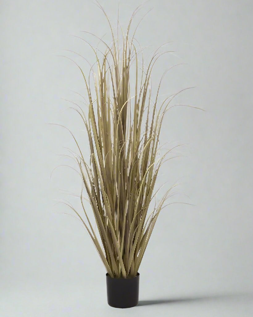 Artificial 60"H Dried Grass with Plastic Pot, 1.5M - (7076) - Acacia Garden Center