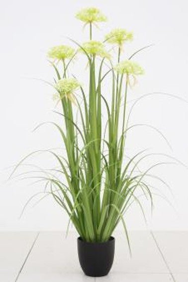 Artificial Grass Angelica | Plastic Pot | 48" - Acacia Garden Center