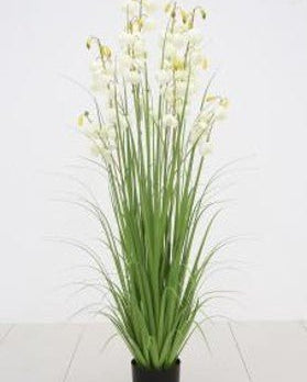 Artificial Lantern Flowers Grass | Plastic Pot - Acacia Garden Center