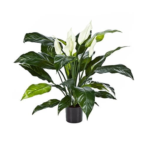 Artificial Spathiphyllum (R024 - 1) 96cm (OAH) - Acacia Garden Center