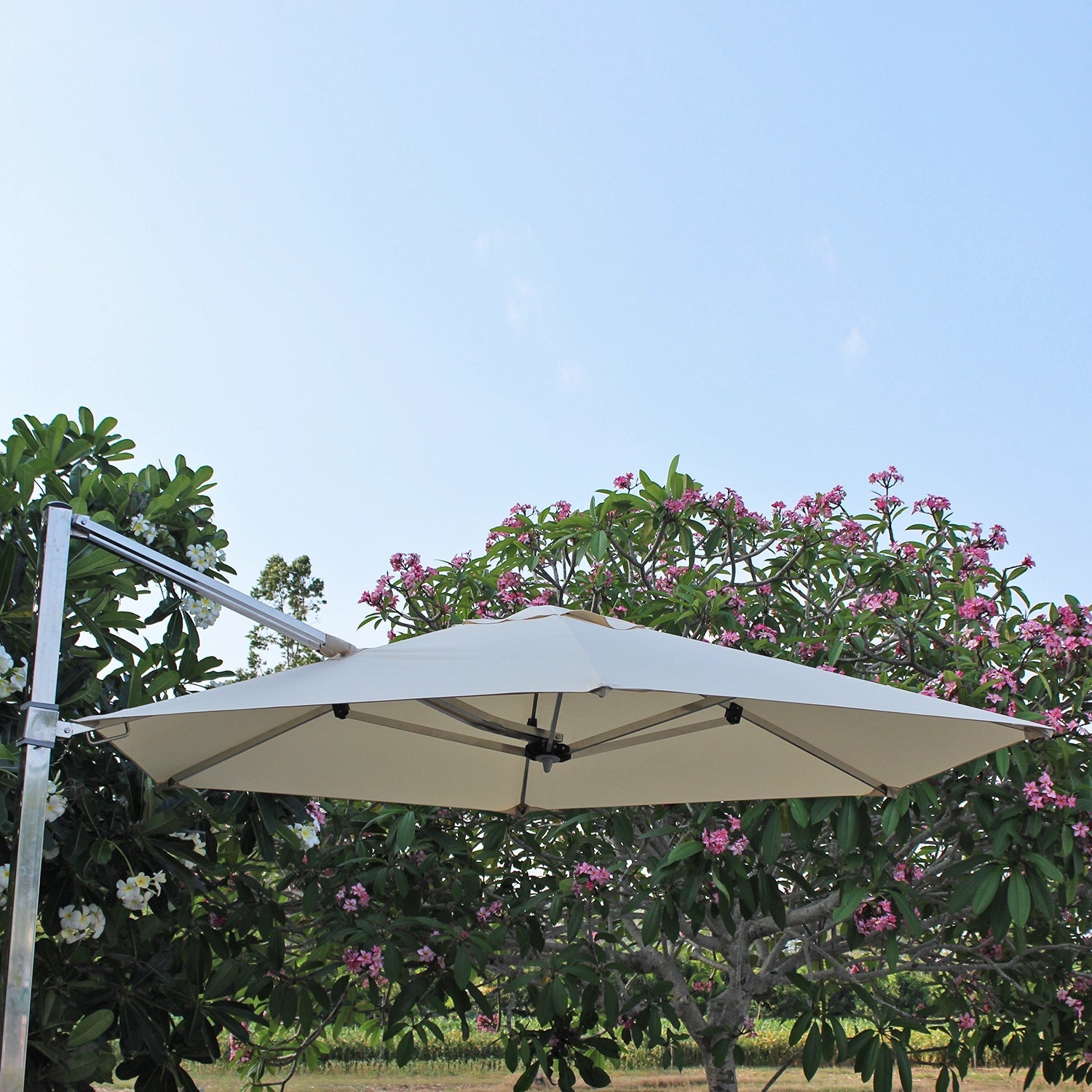 ATC Garden Umbrellas Cantilever Parasol - Acacia Garden Center
