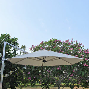 ATC Garden Umbrellas Cantilever Parasol - Acacia Garden Center