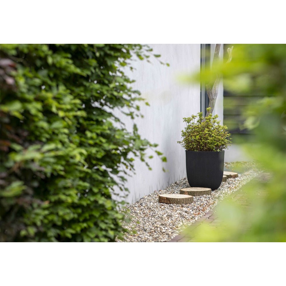 Ball Groove Planter | Multiple Sizes - Acacia Garden Center