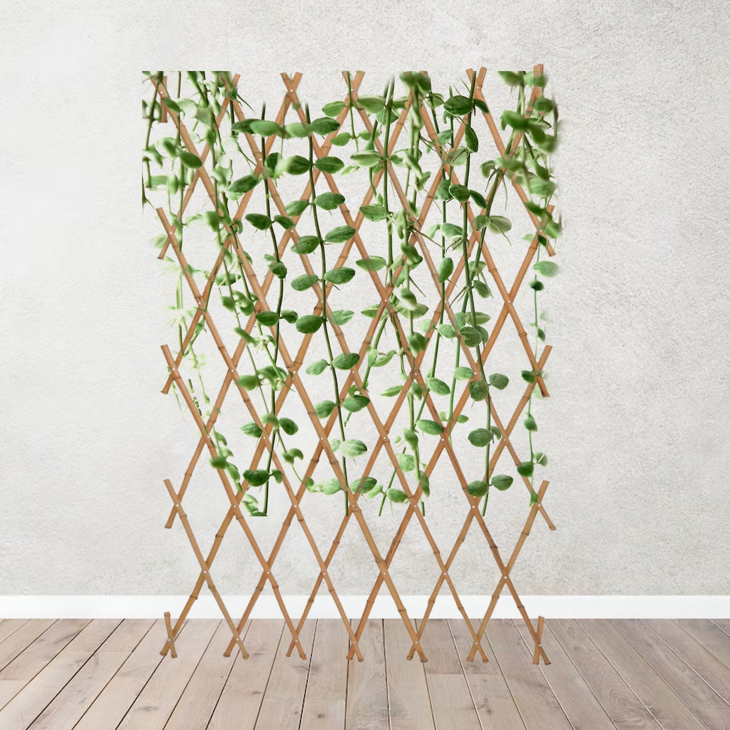 Bamboo Trellis - Acacia Garden Center