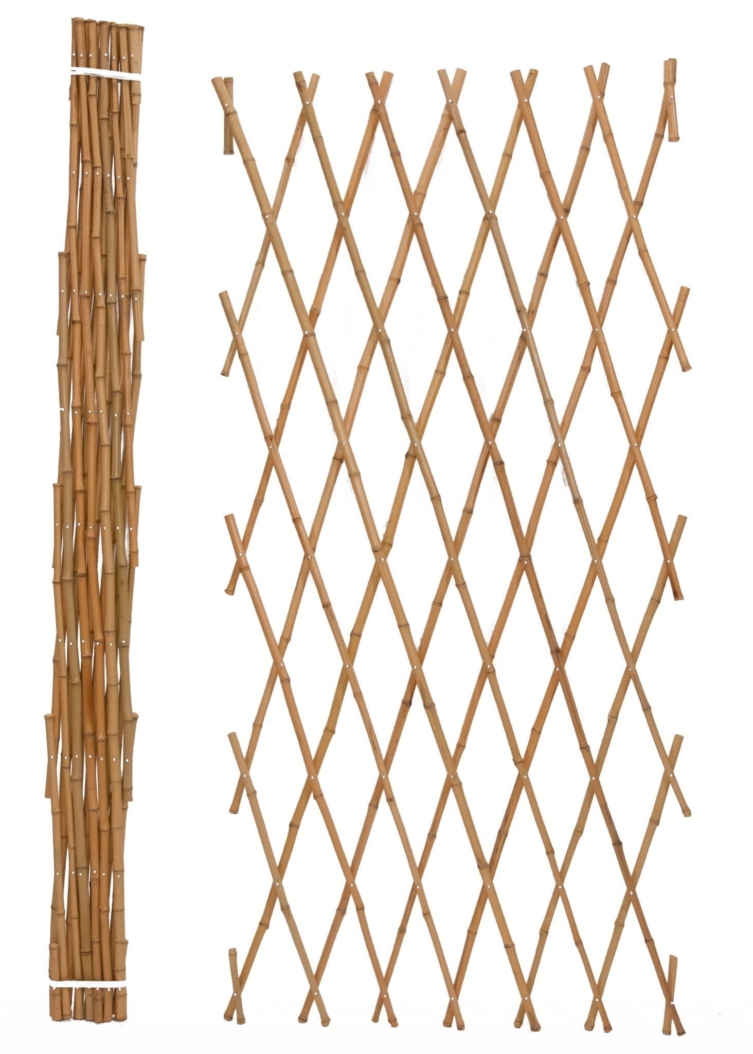Bamboo Trellis - Acacia Garden Center