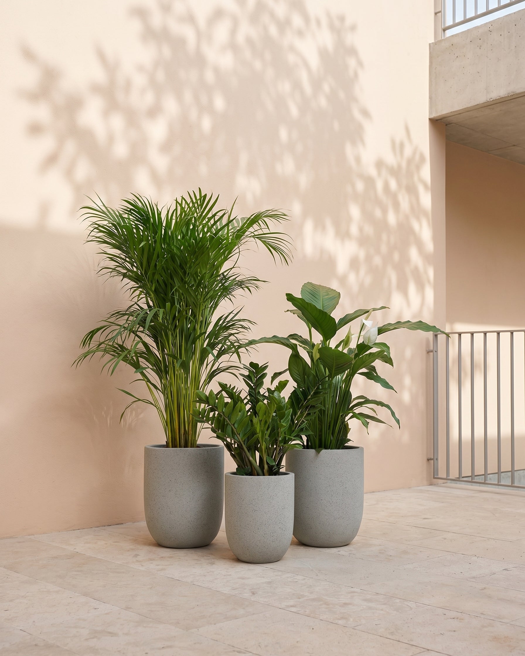 Beginner Friendly Bundle - Acacia Garden Center