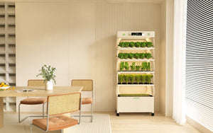 Binfold Smart Planter (Hydrophonic Smart Planter) - BiN - S3 - Acacia Garden Center