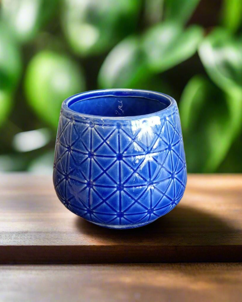 Blue Cone Ceramic Pot | Small Decorative Planter - Acacia Garden Center