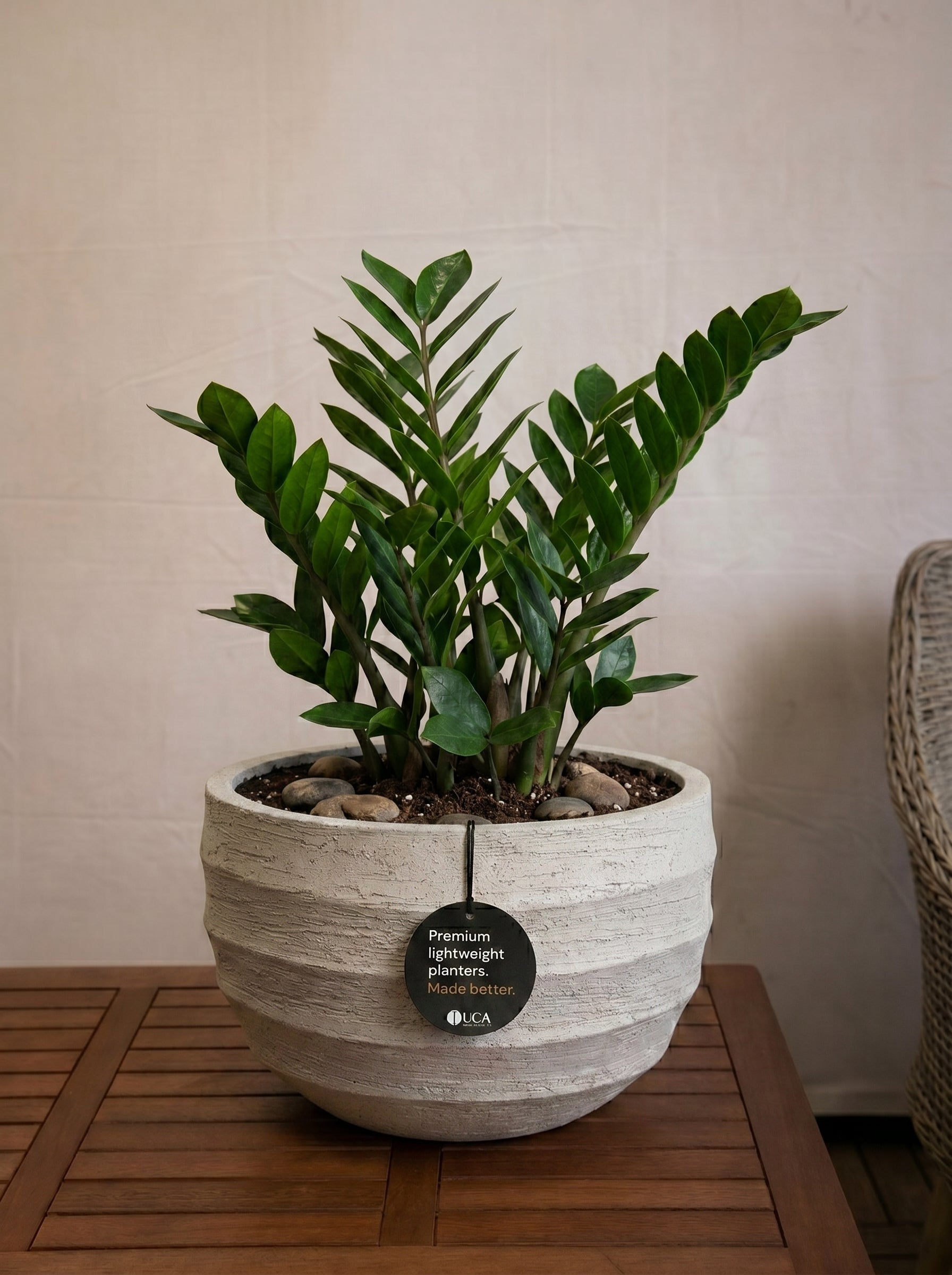 Bordo New Egg Pot Low | Premium Planter, Dia. 80–110 cm - Acacia Garden Center