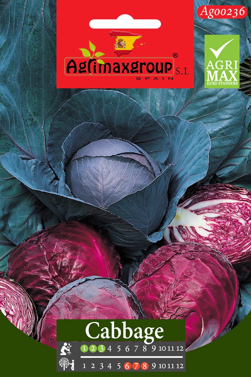 Cabbage - Acacia Garden Center