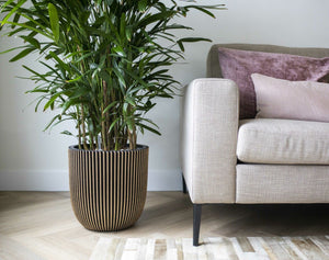 Capi Europe Ball Groove Planter - Acacia Garden Center