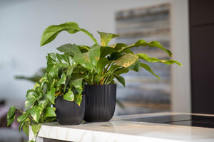 Capi Europe Planter Ball Groove - Acacia Garden Center