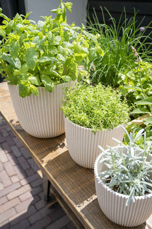 Capi Europe Planter Ball Groove - Acacia Garden Center