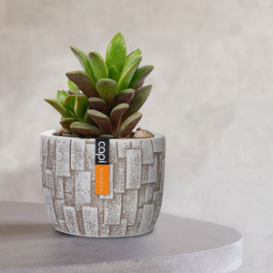 Capi Europe Planter Ball Stone - BSTI / BSTZ 139 - Acacia Garden Center