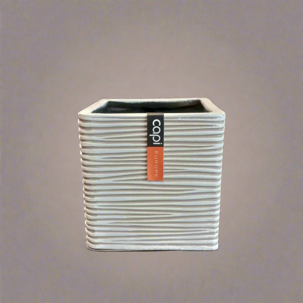 Capi Europe Planter Square BOFI 209 | Ivory - Acacia Garden Center