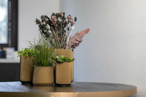 Capi Europe Sandbag Groove Black Gold - Acacia Garden Center