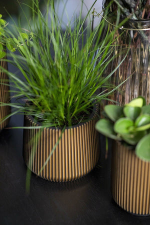 Capi Europe Sandbag Groove Black Gold - Acacia Garden Center