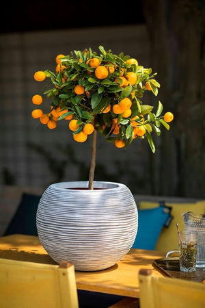 Capi Europe Vase Ball Rib - Acacia Garden Center
