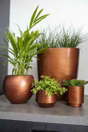 Capi Europe Vase Cylinder - Acacia Garden Center