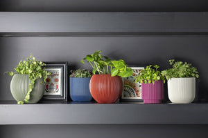 Capi Europe Vase Cylinder Groove - Acacia Garden Center