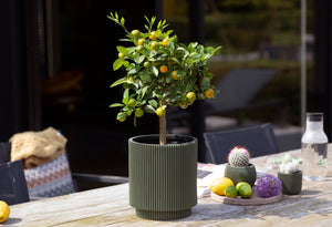 Capi Europe Vase Cylinder Groove - Acacia Garden Center