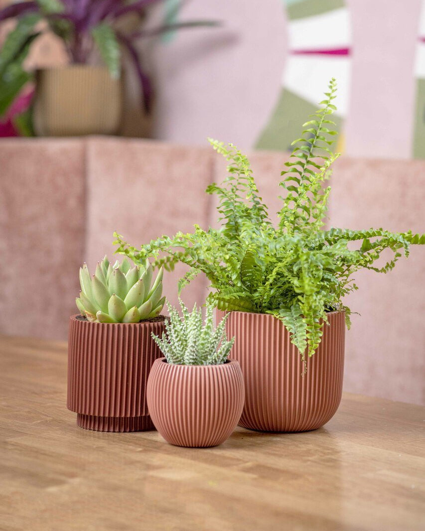 Capi Europe Vase Cylinder | Multi - Colour - Acacia Garden Center