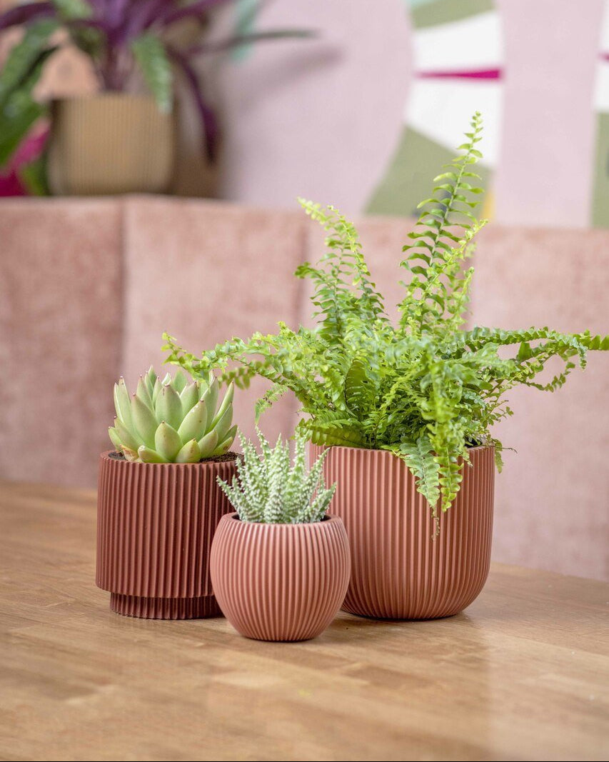 Capi Europe Vase Cylinder | Multi - Colour - Acacia Garden Center