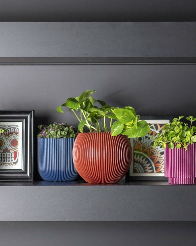 Capi Europe Vase Cylinder | Multi - Colour - Acacia Garden Center