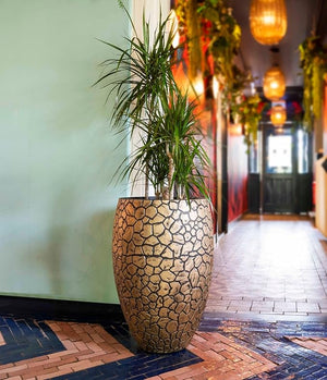 Capi Europe Vase Elegant Deluxe Clay - Acacia Garden Center