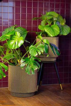 Capi Europe Vase Elegant Groove - Acacia Garden Center