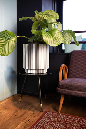 Capi Europe Vase Elegant Groove - Acacia Garden Center