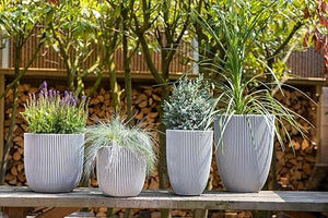 Capi Europe Vase Elegant Low Groove - Acacia Garden Center