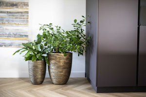 Capi Europe Vase Elegant Low Rib - Black Gold - Acacia Garden Center