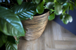 Capi Europe Vase Elegant Low Rib - Black Gold - Acacia Garden Center